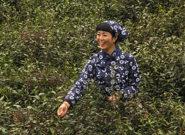 最新更新8